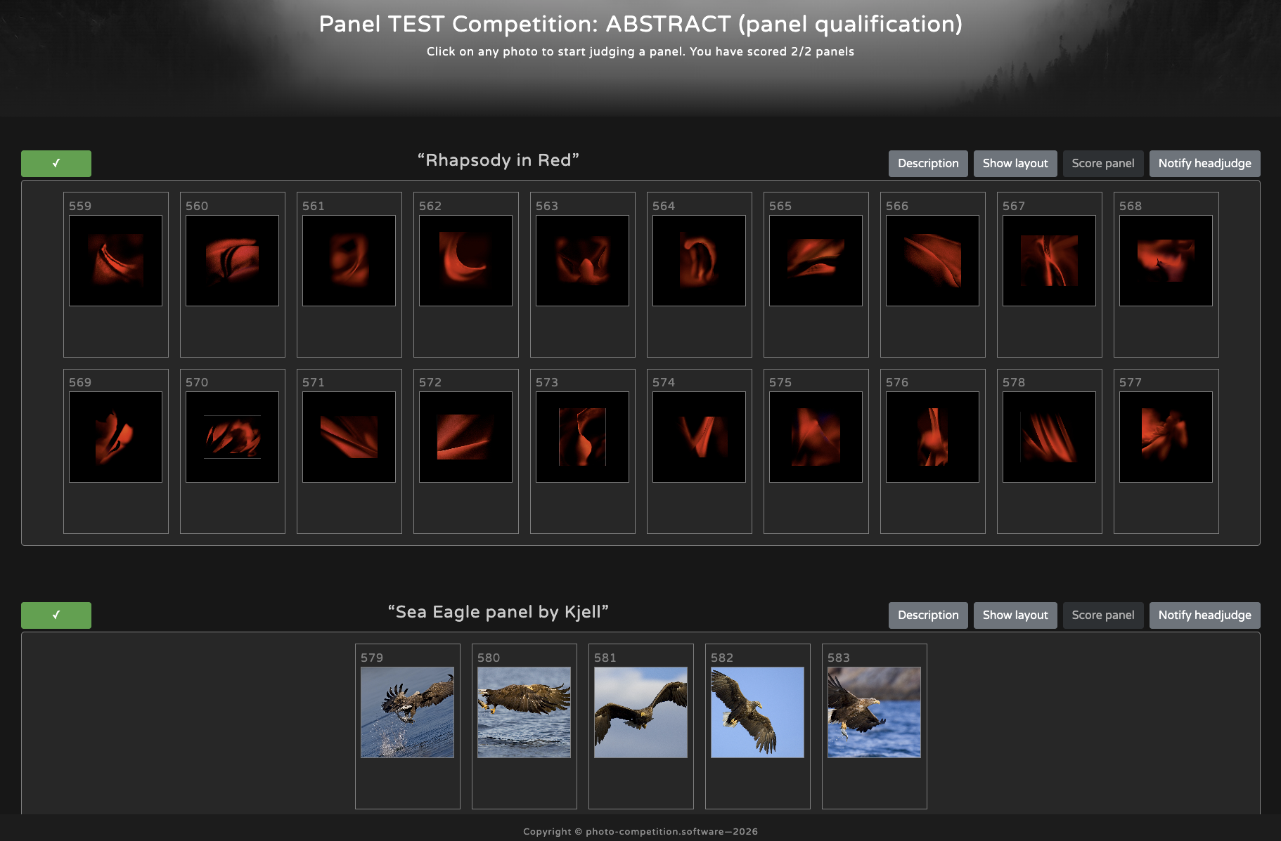 Judge's interface for panels